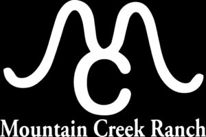 mountain creek 2 1024x678